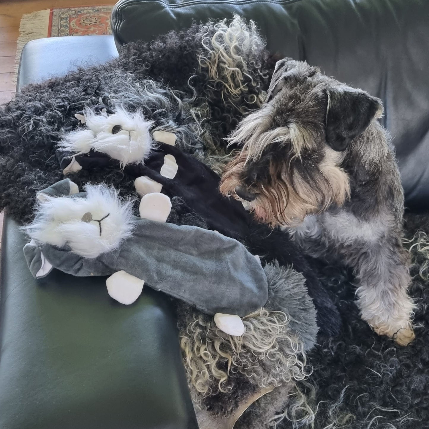 Jucarie SCHNAUZER 55 cm